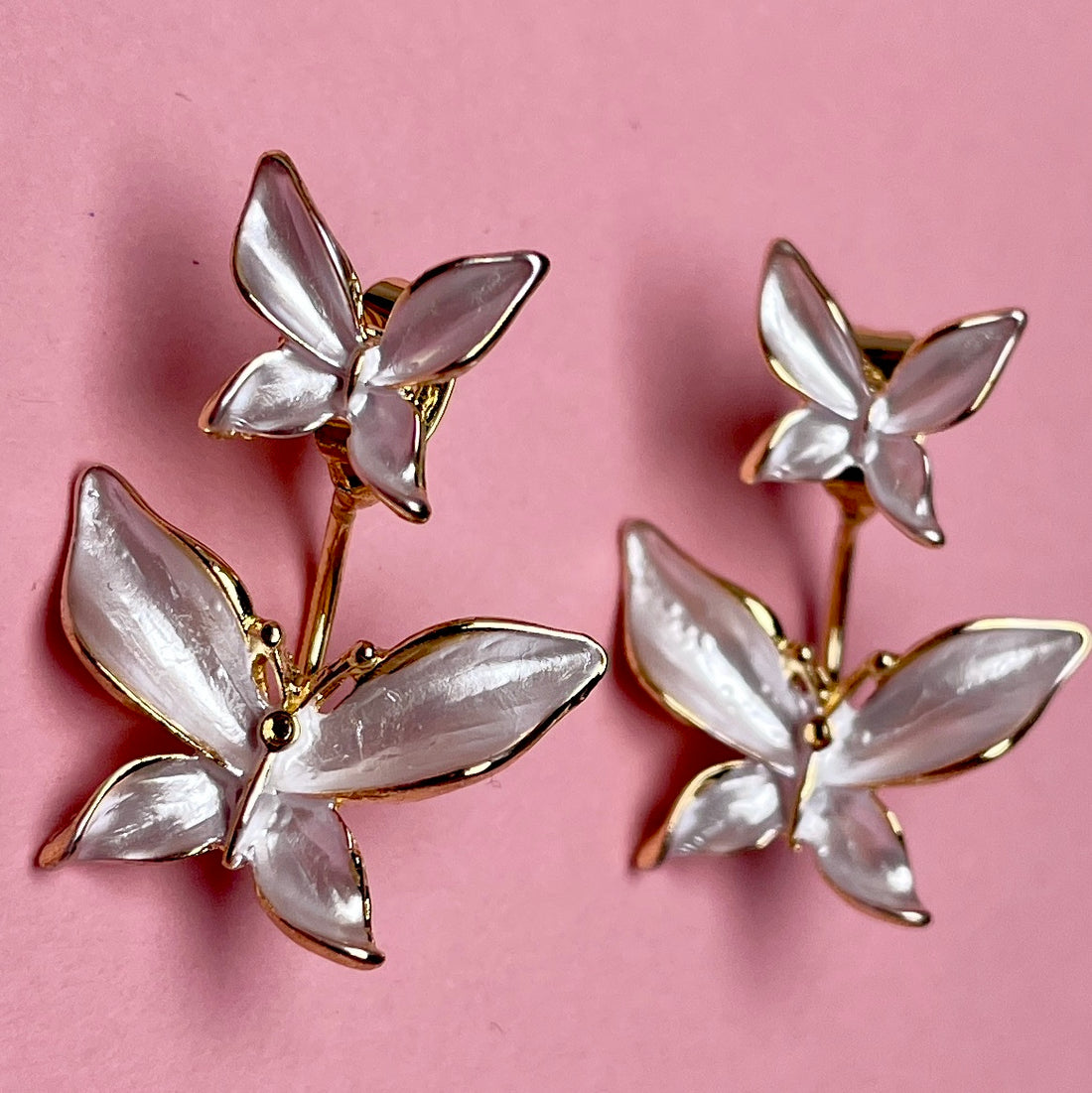 Pearly Butterfly Ear