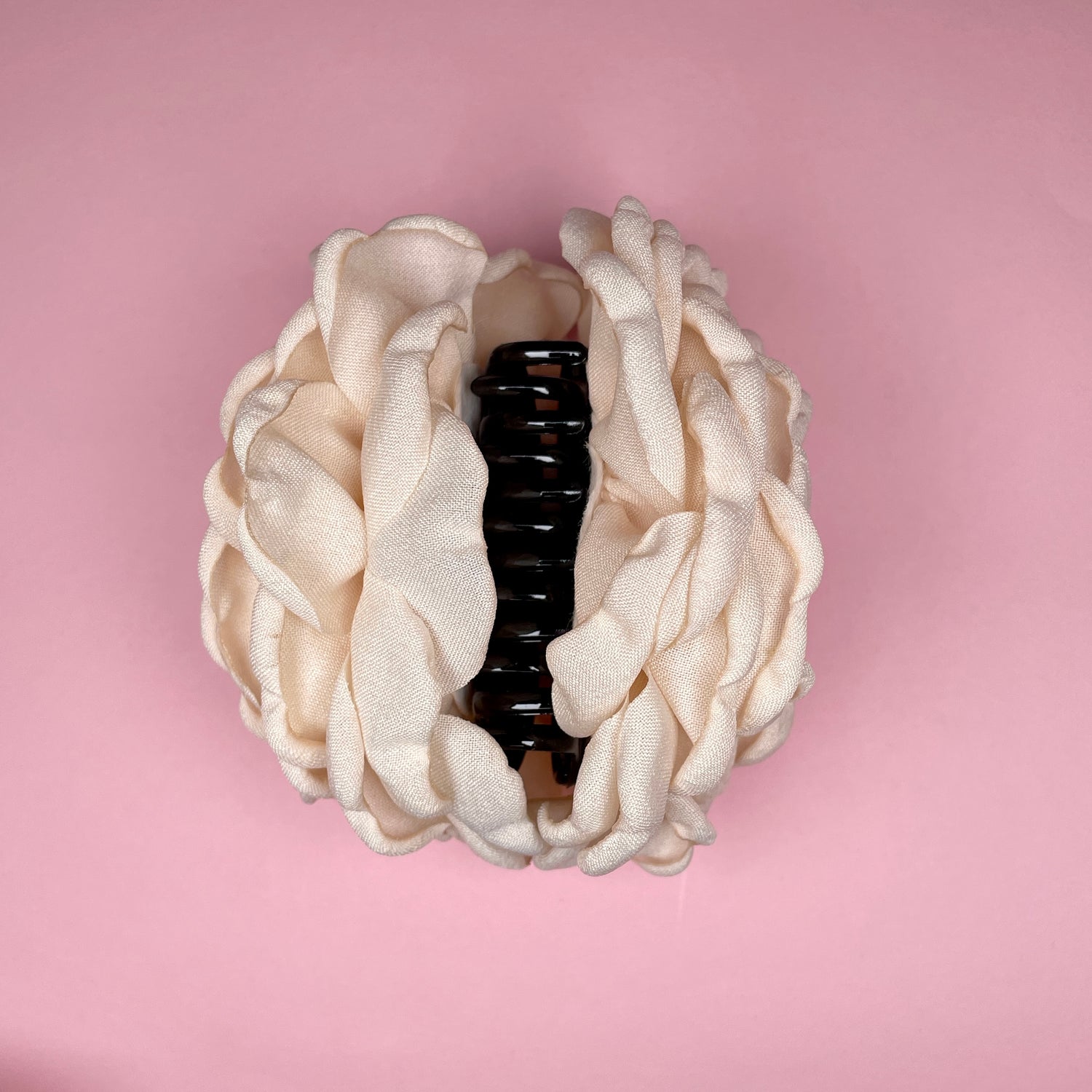 Giant Rose Claw - Cream