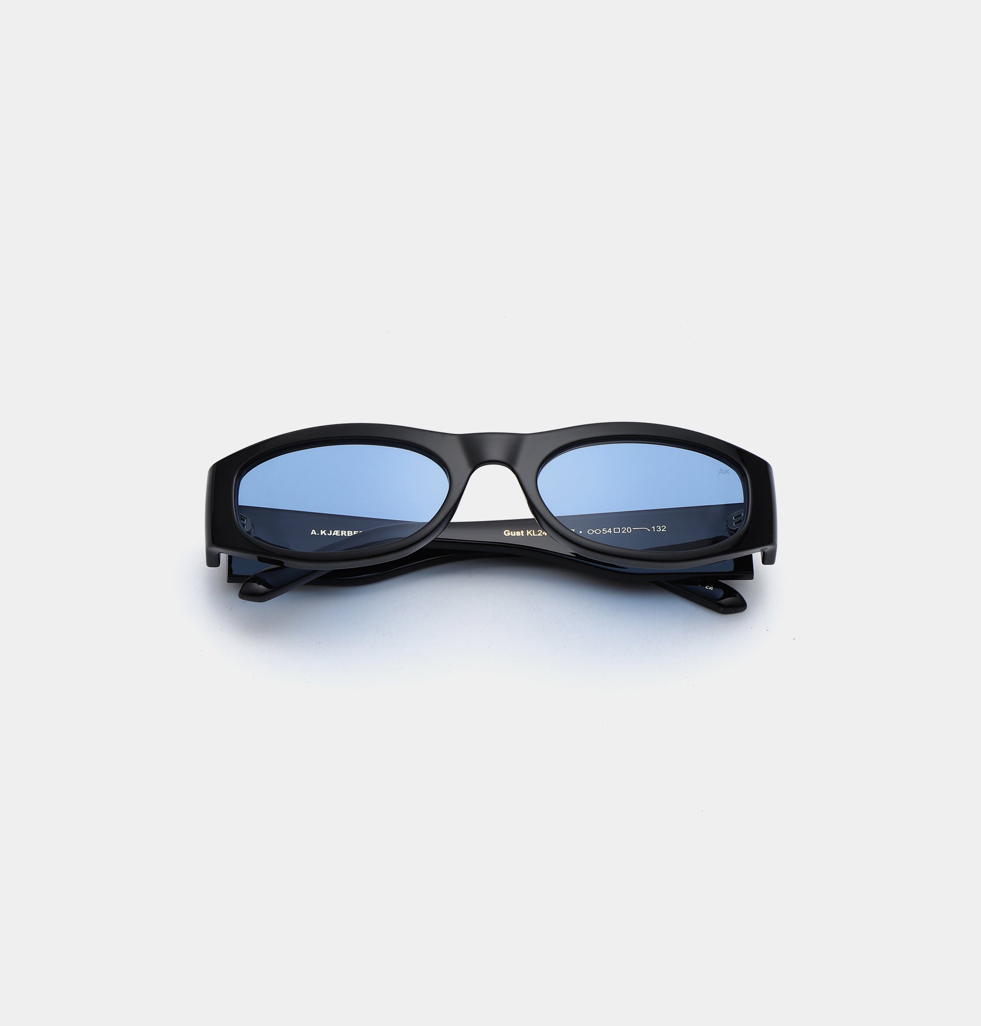 Gust Sunglasses - Black / Blue