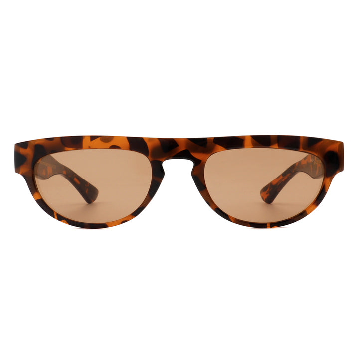 Jake - Demi Tortoise