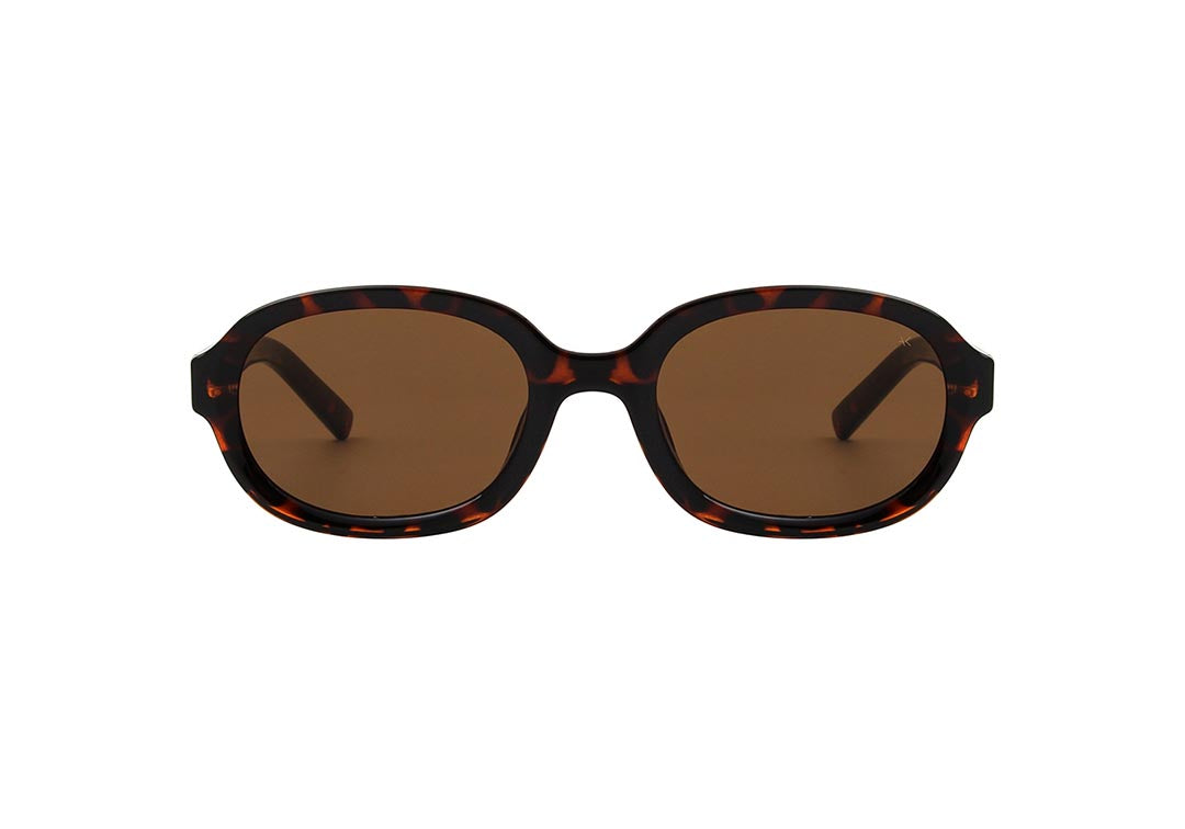Bob - Demi Tortoise