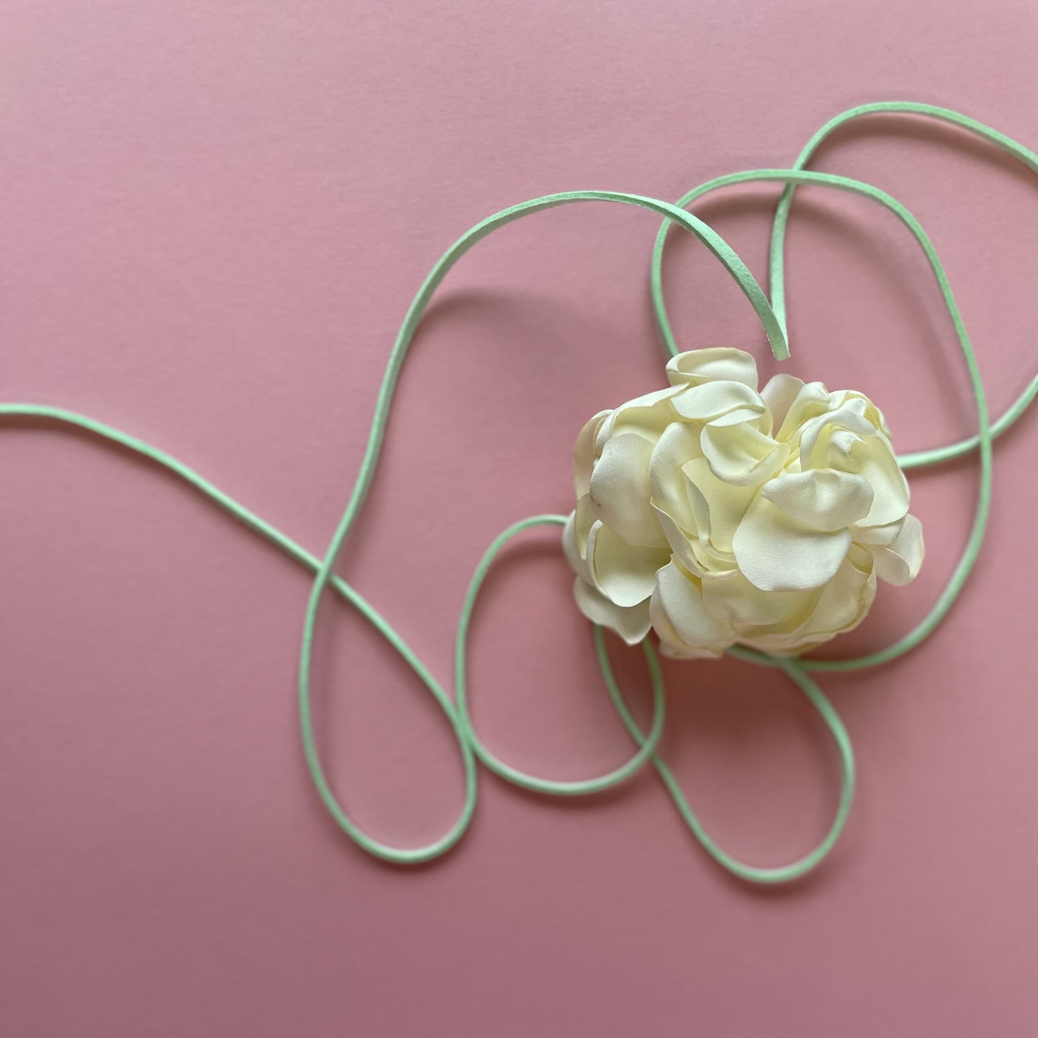Multiflower - Peony - 8 cm - Cream