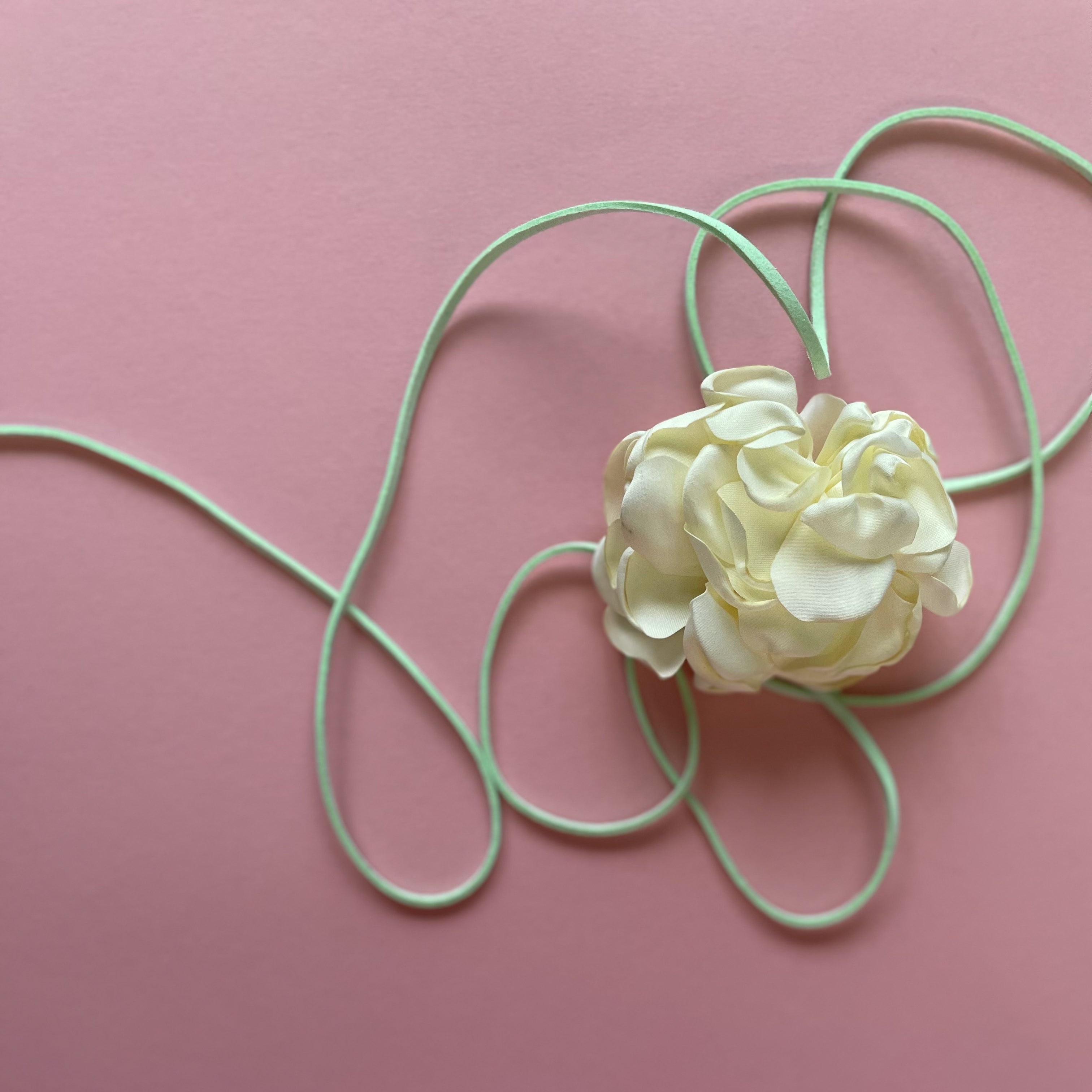 Multiflower - Peony - 8 cm - Cream