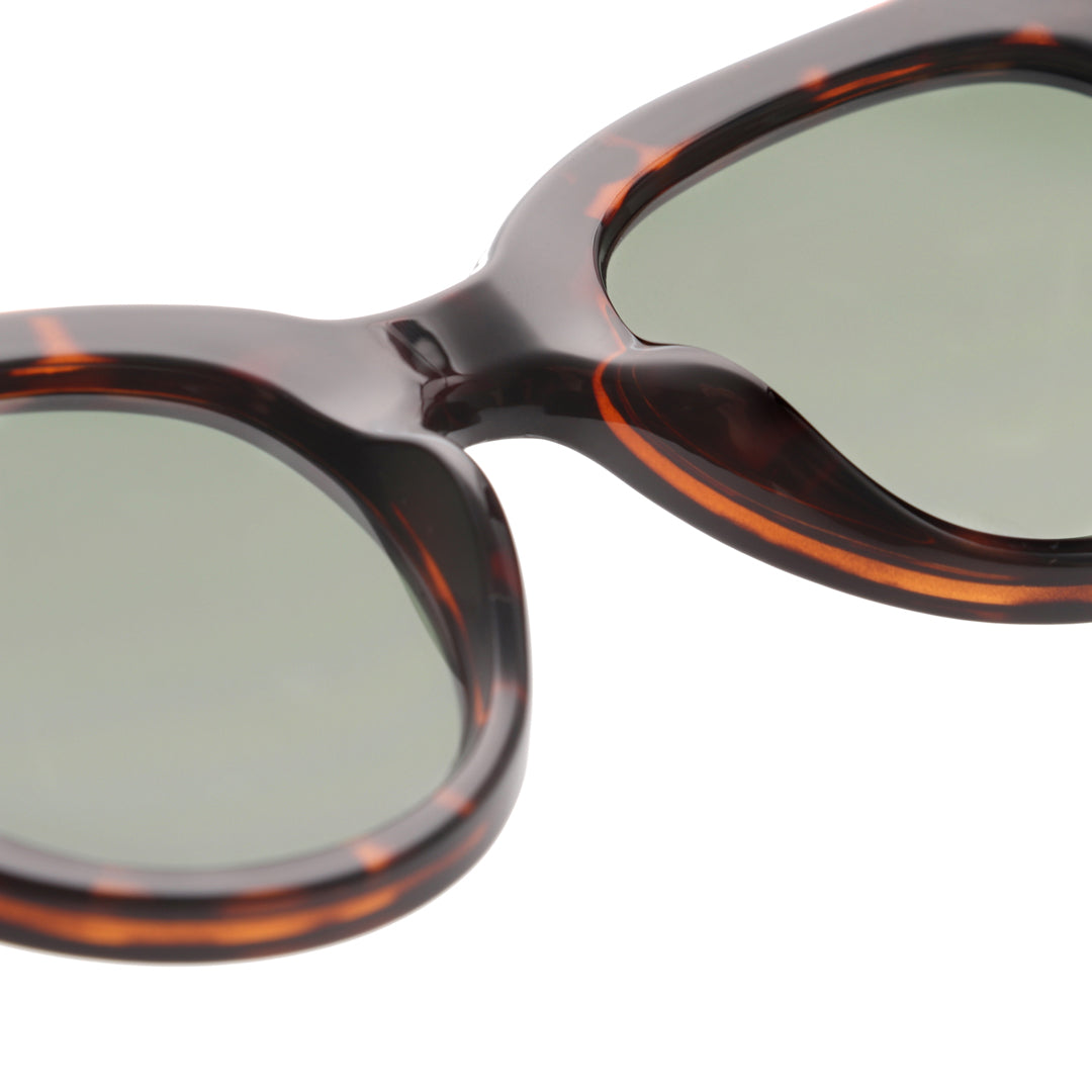 Lilly - Demi Tortoise