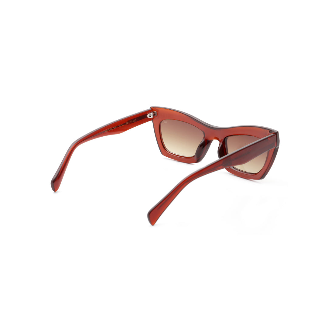 Luxx - Brown Transparent