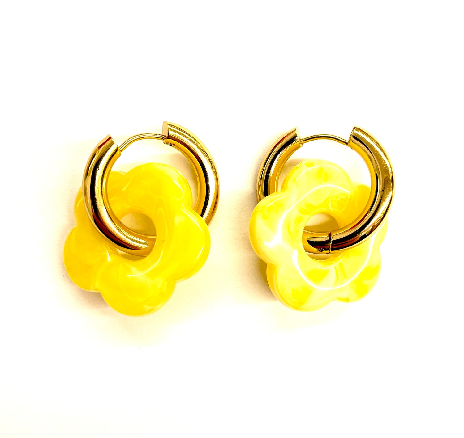 Golden Daisy Creol - Yellow