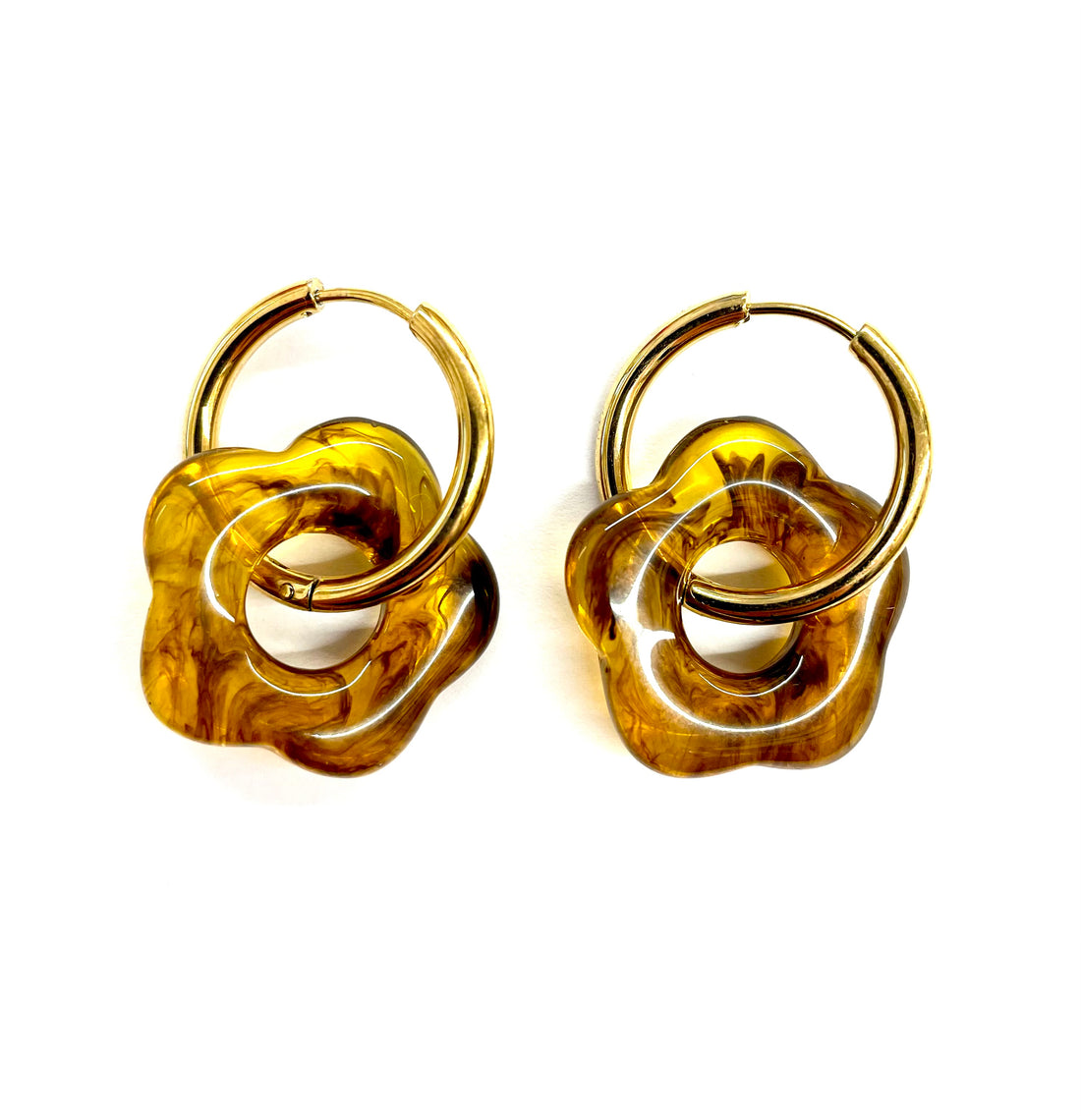 Golden Daisy Creol - Tortoise