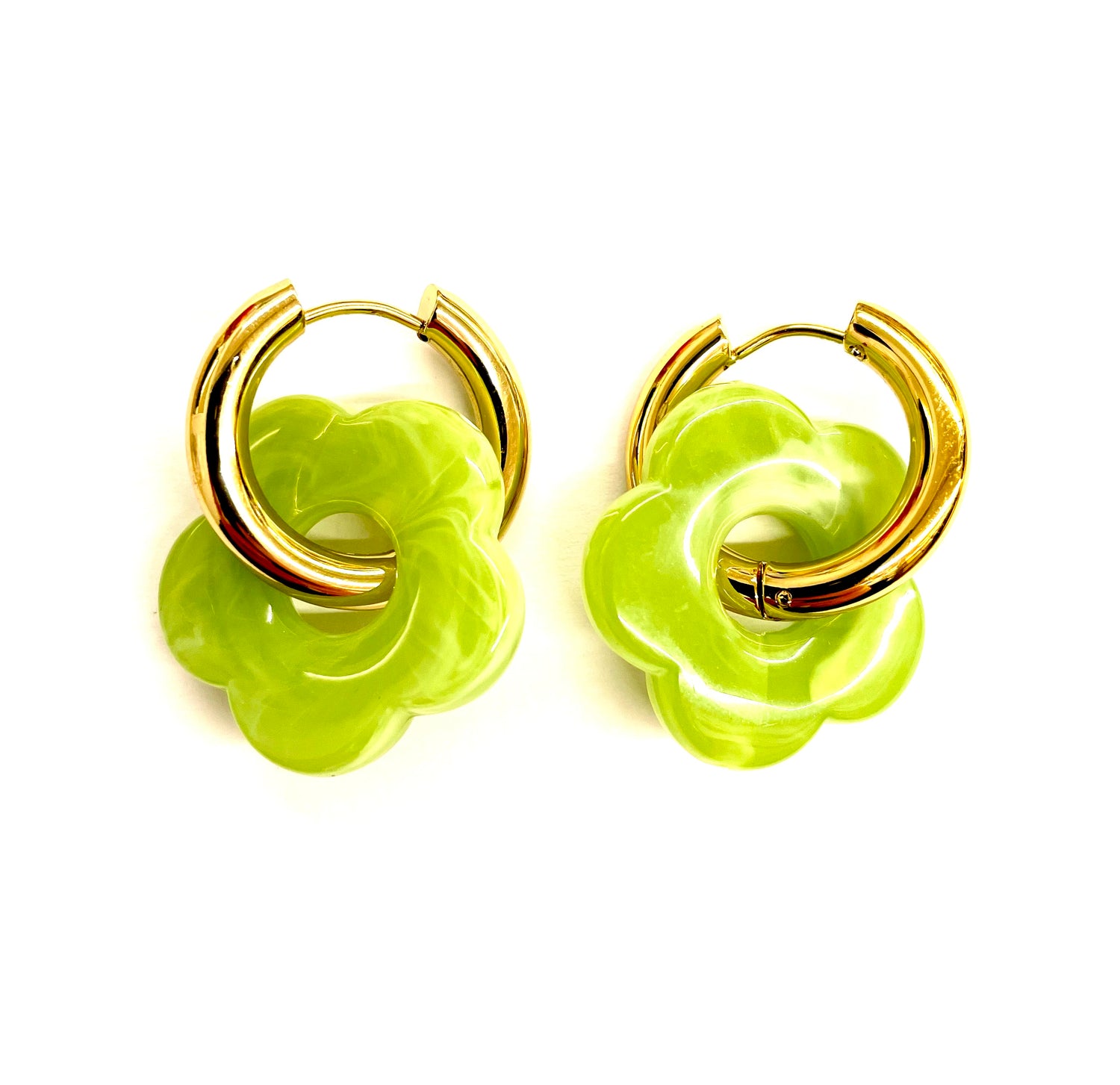 Golden Daisy Creol - Green